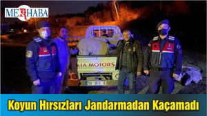 Ayvalık’ta Koyun Hırsızları Jandarmadan Kaçamadı