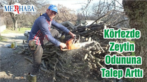 Körfezde Zeytin Odununa Talep Arttı