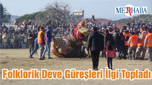 Folklorik Deve Güreşleri İlgi Topladı