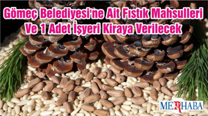 Gömeç Belediyesi'ne Ait Fıstık Mahsulleri Ve 1 Adet İşyeri Kiraya Verilecek