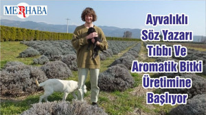 Ayvalıklı Söz Yazarı Tıbbı Ve Aromatik Bitki Üretimine Başlıyor