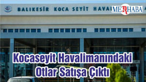 Kocaseyit Havalimanındaki Otlar Satışa Çıktı
