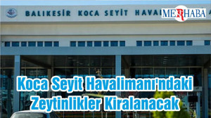 Koca Seyit Havalimanı'ndaki Zeytinlikler Kiralanacak