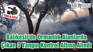 Balıkesir'de Ormanlık Alanlarda Çıkan 3 Yangın Kontrol Altına Alındı
