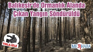 Balıkesir'de Ormanlık Alanda Çıkan Yangın Söndürüldü