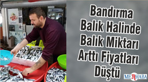 Bandırma Balık Halinde Balık Miktarı Arttı Fiyatları Düştü