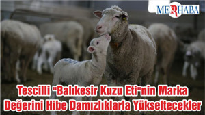 Tescilli "Balıkesir Kuzu Eti"nin Marka Değerini Hibe Damızlıklarla Yükseltecekler