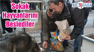 Sokak Hayvanlarını Beslediler