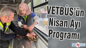 VETBÜS’ün Nisan Ayı Programı