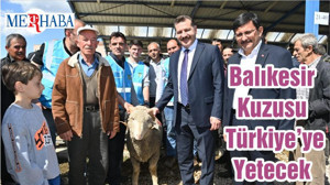 Balıkesir Kuzusu Türkiye’ye Yetecek