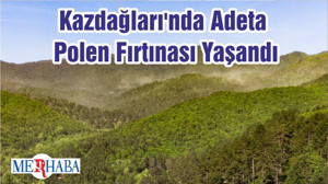 Kazdağları'nda Adeta Polen Fırtınası Yaşandı