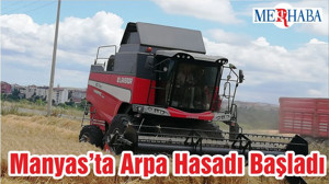 Manyas’ta Arpa Hasadı Başladı