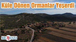 Küle Dönen Ormanlar Yeşerdi