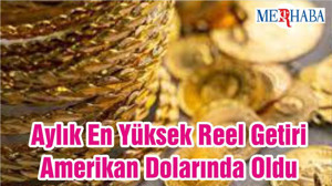 Aylık En Yüksek Reel Getiri Amerikan Dolarında Oldu
