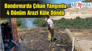 Bandırma'da Çıkan Yangında 4 Dönüm Arazi Küle Döndü