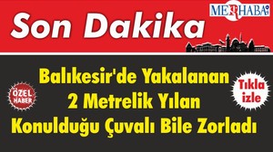 Balıkesir'de Yakalanan 2 Metrelik Yılan Konulduğu Çuvalı Bile Zorladı
