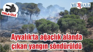 Ayvalık'ta ağaçlık alanda çıkan yangın söndürüldü