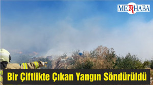 Bandırma'da Bir Çiftlikte Çıkan Yangın Söndürüldü