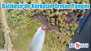 Balıkesir'de Korkutan Orman Yangını