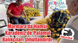 Marmara'da Hamsi Karadeniz'de Palamut Balıkçıları Umutlandırdı