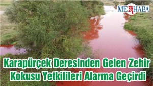 Karapürçek Deresinden Gelen Zehir Kokusu Yetkilileri Alarma Geçirdi
