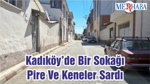 Kadıköy’de Bir Sokağı Pire Ve Keneler Sardı