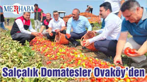 Salçalık Domatesler Ovaköy’den