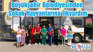 Büyükşehir Belediyesinden Sokak Hayvanlarına İlkyardım