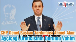 CHP Genel Başkan Yardımcısı Ahmet Akın: Ayçiçeği Üreticisinin Durumu Vahim