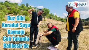 Buz Gibi Karadut Suyu Kaynağı Çok Yakında Balıkesir’de