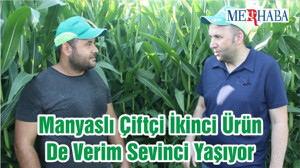 Manyaslı Çiftçi İkinci Ürün De Verim Sevinci Yaşıyor