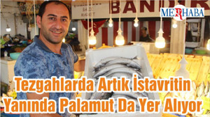 Tezgahlarda Artık İstavritin Yanında Palamut Da Yer Alıyor