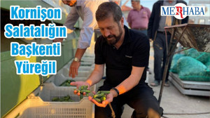 Sındırgı Belediye Başkanı Ekrem Yavaş: Kornişon Salatalığın Başkenti Yüreğil