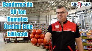 Balıkesir’in Bandırma İlçesinde 90 Ton Domates Üretimi Elde Edilecek
