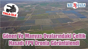 Gönen Ve Manyas Ovalarındaki Çeltik Hasadı FPV Dronla Görüntülendi