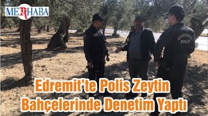 Edremit’te Polis Zeytin Bahçelerinde Denetim Yaptı