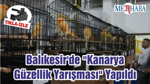 Balıkesir'de "Kanarya Güzellik Yarışması" Yapıldı