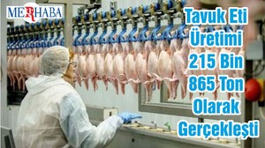 Tavuk Eti Üretimi 215 Bin 865 Ton Olarak Gerçekleşti