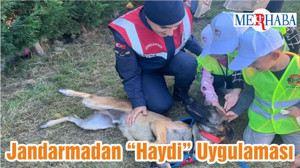 Jandarmadan “Haydi” Uygulaması