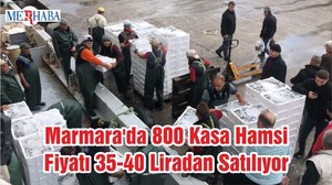 Marmara'da 800 Kasa Hamsi Fiyatı 35-40 Liradan Satılıyor