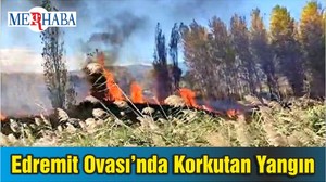 Edremit Ovası’nda Korkutan Yangın