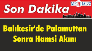 Balıkesir'de Palamuttan Sonra Hamsi Akını