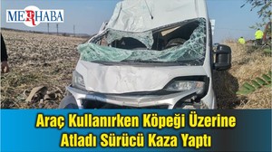 Araç Kullanırken Köpeği Üzerine Atladı Sürücü Kaza Yaptı