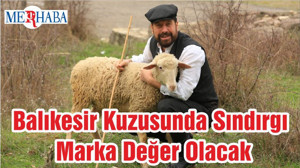 Balıkesir Kuzusunda Sındırgı Marka Değer Olacak