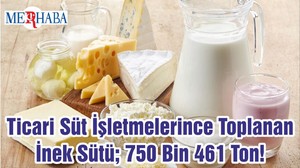 Ticari Süt İşletmelerince Toplanan İnek Sütü; 750 Bin 461 Ton!