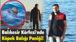 Balıkesir Körfezi'nde Köpek Balığı Paniği!