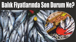 Balıkesir'de Balık Fiyatlarında Son Durum Ne?
