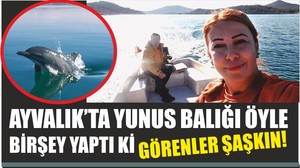 AYVALIK’TA YUNUS BALIĞI ÖYLE BİRŞEY YAPTI Kİ GÖRENLER ŞAŞKIN!