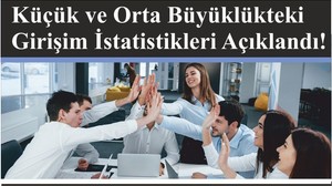 Küçük ve Orta Büyüklükteki Girişim İstatistikleri Açıklandı!
