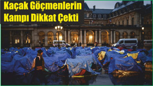 Kaçak Göçmenlerin Kampı Dikkat Çekti